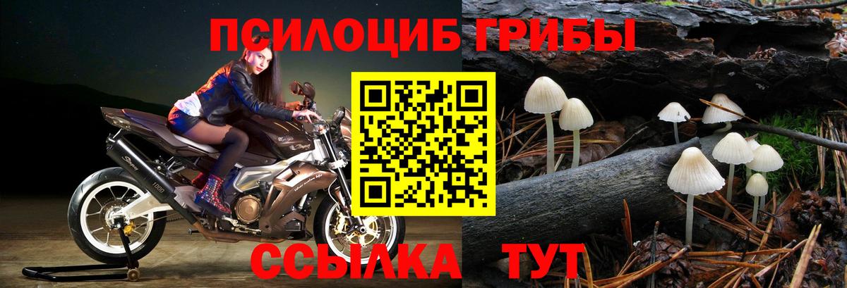 Галлюциногенные грибы GOLDEN TEACHER Алапаевск