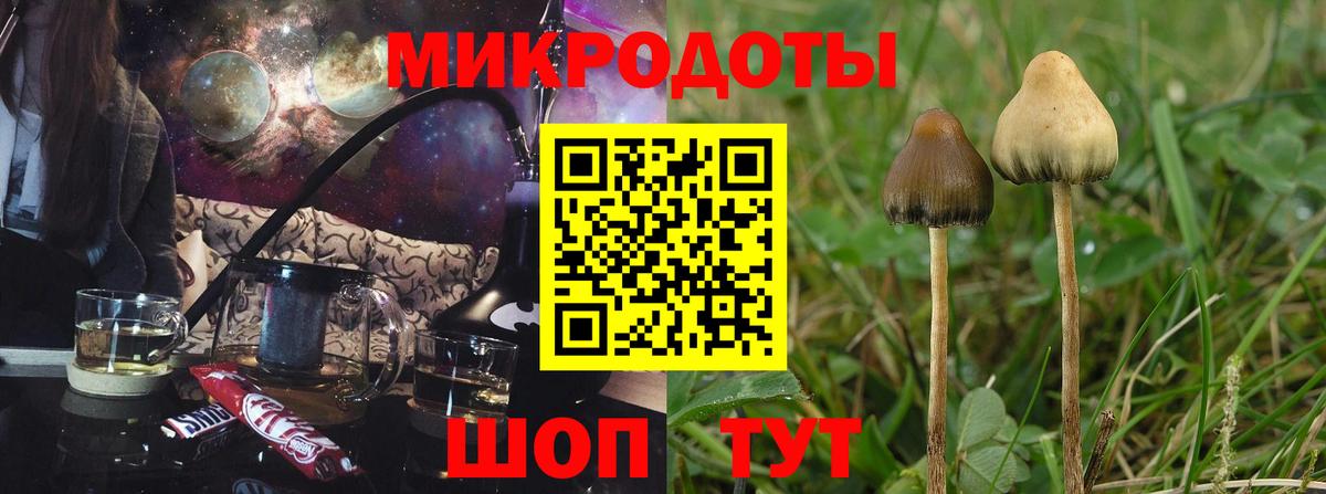 Алапаевск  Галлюциногенные грибы Magic Shrooms  Псилоцибиновые грибы мухоморы  Вход с VPN 